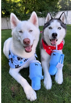 Pup Cup Tumbler Chew toy