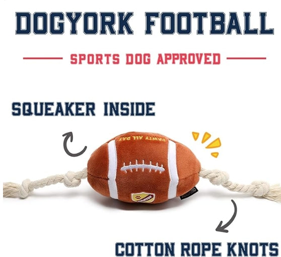 Football and Rope Chew Toy