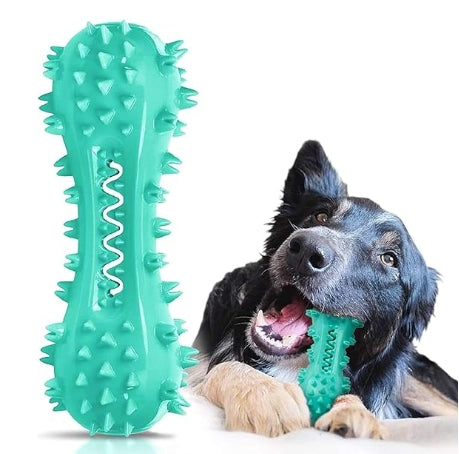 Toothbrush Chew Toy