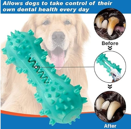 Toothbrush Chew Toy