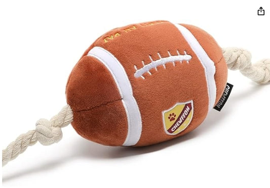 Football and Rope Chew Toy